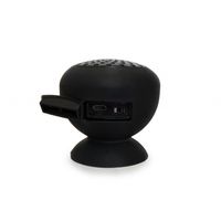 Echo