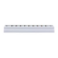 CH 310 White 