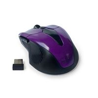 CM 547 Purple