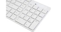 �� 460W White