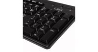 KB 310M