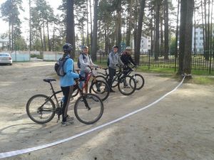 ������� ���������� �� ���������� CBR � human friends