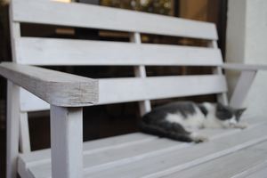 �������� ��� �� ���� ������������ � �����