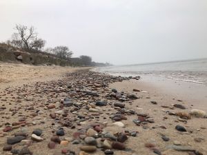������ ���� - ����� ��� ���������)